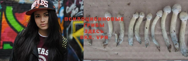 альфа пвп Корсаков
